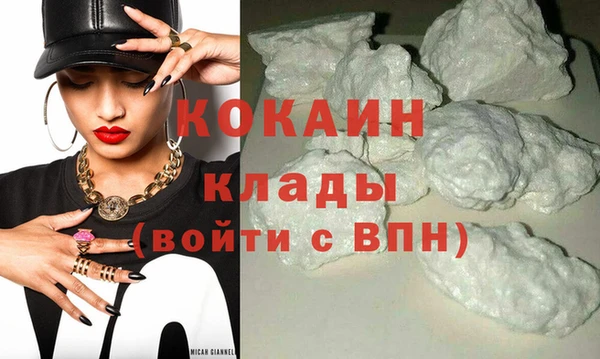прущие грибы Ессентукская