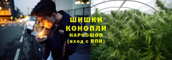 Альфа ПВП Осташков