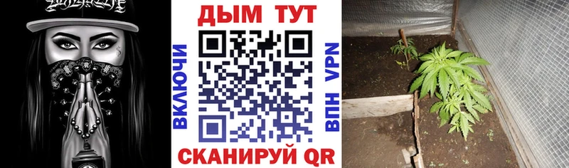 купить   Рыльск  Каннабис Bruce Banner 